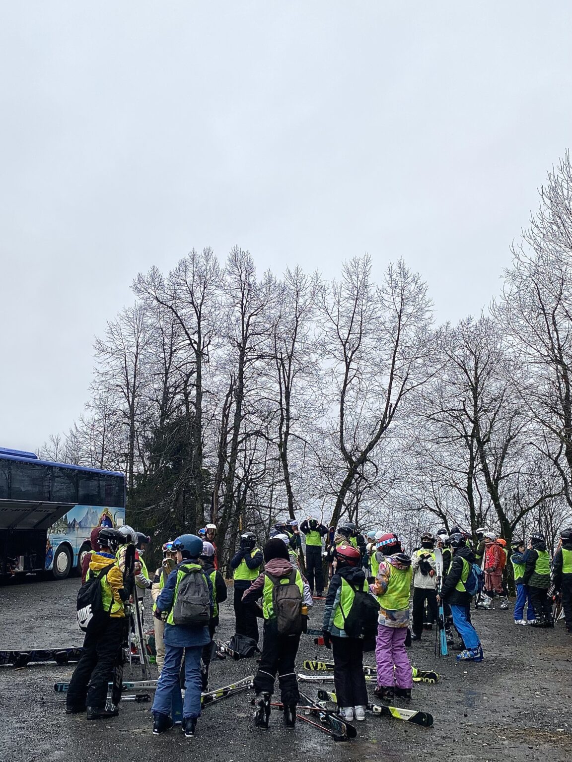 Bild 20260211 074127 eed43e02