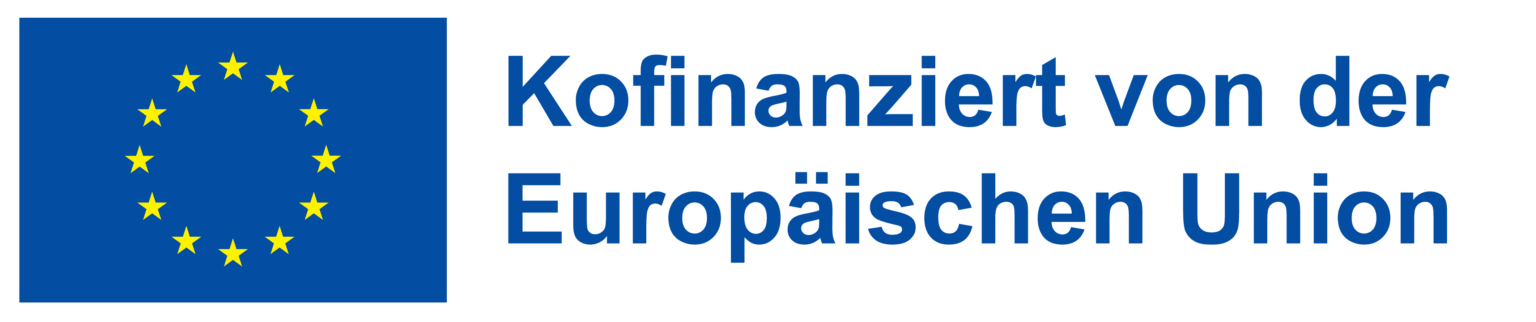 DE H Kofinanziert von der Europaeischen Union WEB