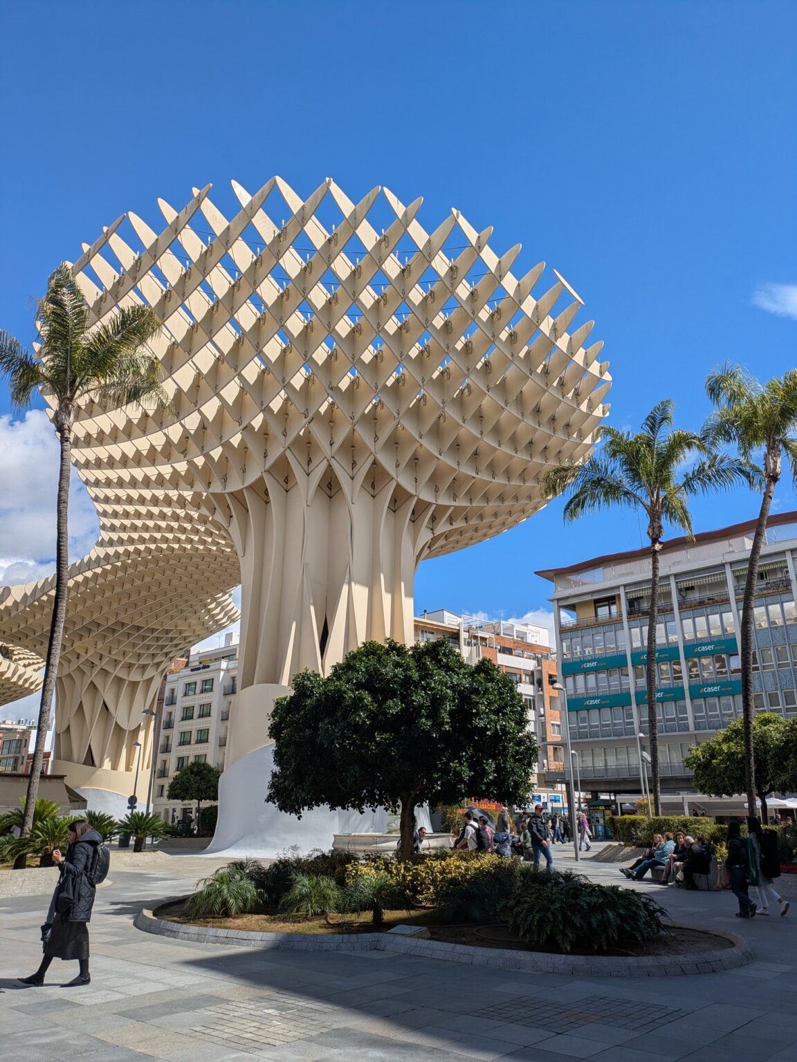 PXL 20250314 113739885