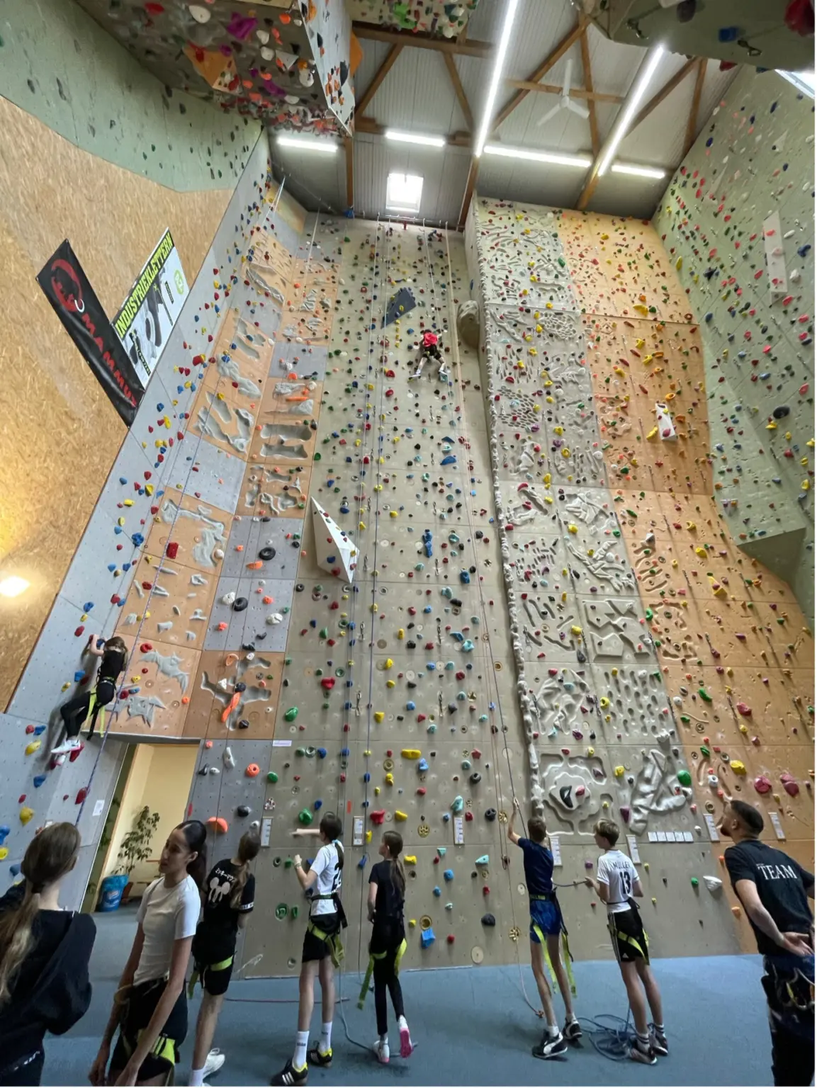 St. Landolin Schule Barr Kletterhalle