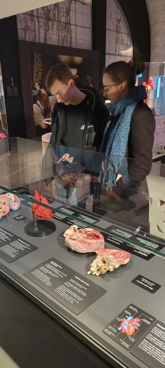 St. Landolin Schule Körperwelten Präparate